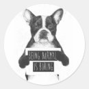 Search for not normal stickers Humour