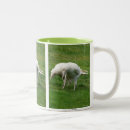 Search for white ravens mugs Wildlife