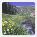 Recherche de fleur alpine autocollants Paysage