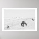 Search for black and white landscape posters Rural