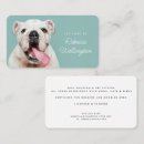 Recherche de marche de chien cartes visite Petits animaux