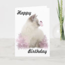 Search for ragdoll cat birthday cards Cute