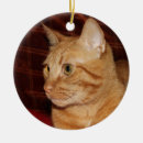 Search for orange tabby cat ornaments Red