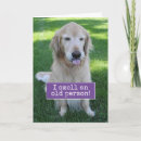 Search for golden retriever birthday cards Cute