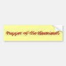 Search for illuminati bumper stickers Masons