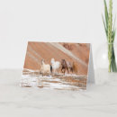Search for horse ranch cards Snow