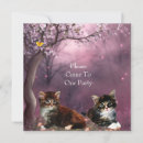 Recherche de chats et chatons invitations Animaux de compagnie