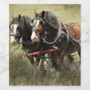 Search for weathered labels Horses