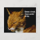 Recherche de expression drôle cartes postales Animal