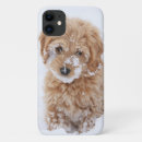 Search for goldendoodle iphone cases Pet