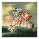 Recherche de vintage floral posters Bleu