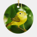 Search for yellow ornaments Bird