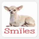 Search for rescue dogs stickers Puppy