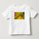 Search for tree frog tshirts Pacific northwest