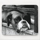 Search for boxer dogs mousepads Canine