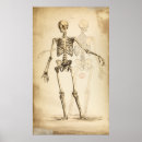 Search for vintage medical skeleton posters Medicine