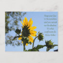 Search for sunshine flower cards Quote