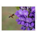 Search for mountain laurel flower postcards Bloom