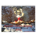 Recherche de poule calendriers Poussin