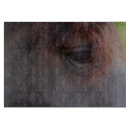 Recherche de chevaux de trait Pour elle