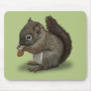 Recherche de écureuil bébé tapis souris Rongeur