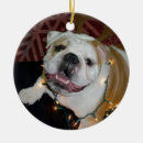 Search for english ornaments Funny