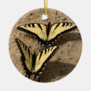 Recherche de sable ornements Photographie de la nature