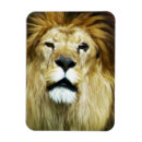 Recherche de de roi magnets Pour lui