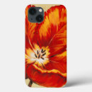 Recherche de perroquets coques Floral