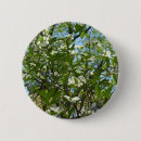 Search for tree branches buttons Nature