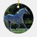 Search for thoroughbred horse ornaments Running