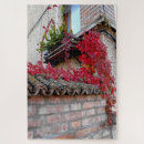 Search for brick wall puzzles Red