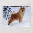 Search for spitz postcards Puppy