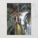Recherche de coco cartes postales Palmiers