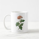 Recherche de aurora tasses Rose