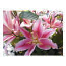 Search for tiger lily art Pink