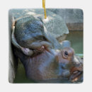 Recherche de hippopotame ornements Animal