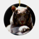Search for tigers ornaments Wildlife