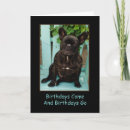 Search for funny french birthday cards Frenchie