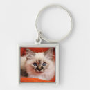 Search for pet portrait keychains Kitten