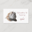 Recherche de affaires de chat cartes visite Humour