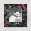 Search for shamrock business cards St patrick's day