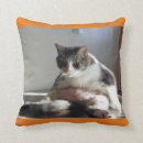 Recherche de chat tigré coussins Orange