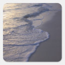 Search for punta cana stickers Tropical