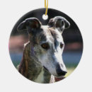 Search for greyhound ornaments Animals
