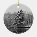 Search for winter wonderland ornaments Beautiful