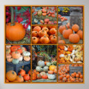 Recherche de moisson posters Halloween