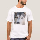 Search for alaskan malamute clothing Siberian husky