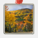 Recherche de aspen colorado ornements Peuplier