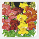 Search for snapdragons stickers Flower
